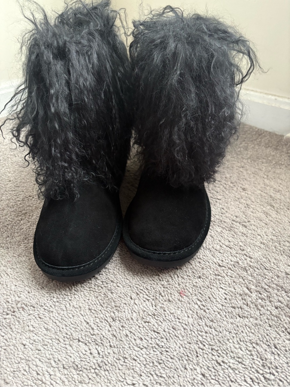 Bear-paw Boo boot. Stylish yet comfortable for those cold days.